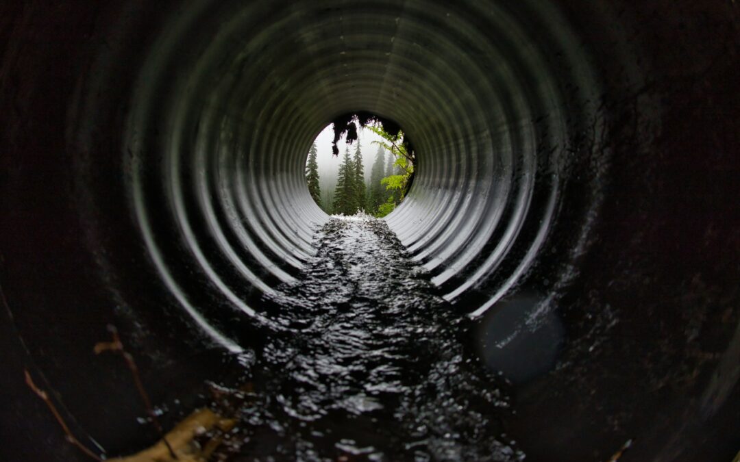 The Impact of Drainage and Grading in Landscape Construction