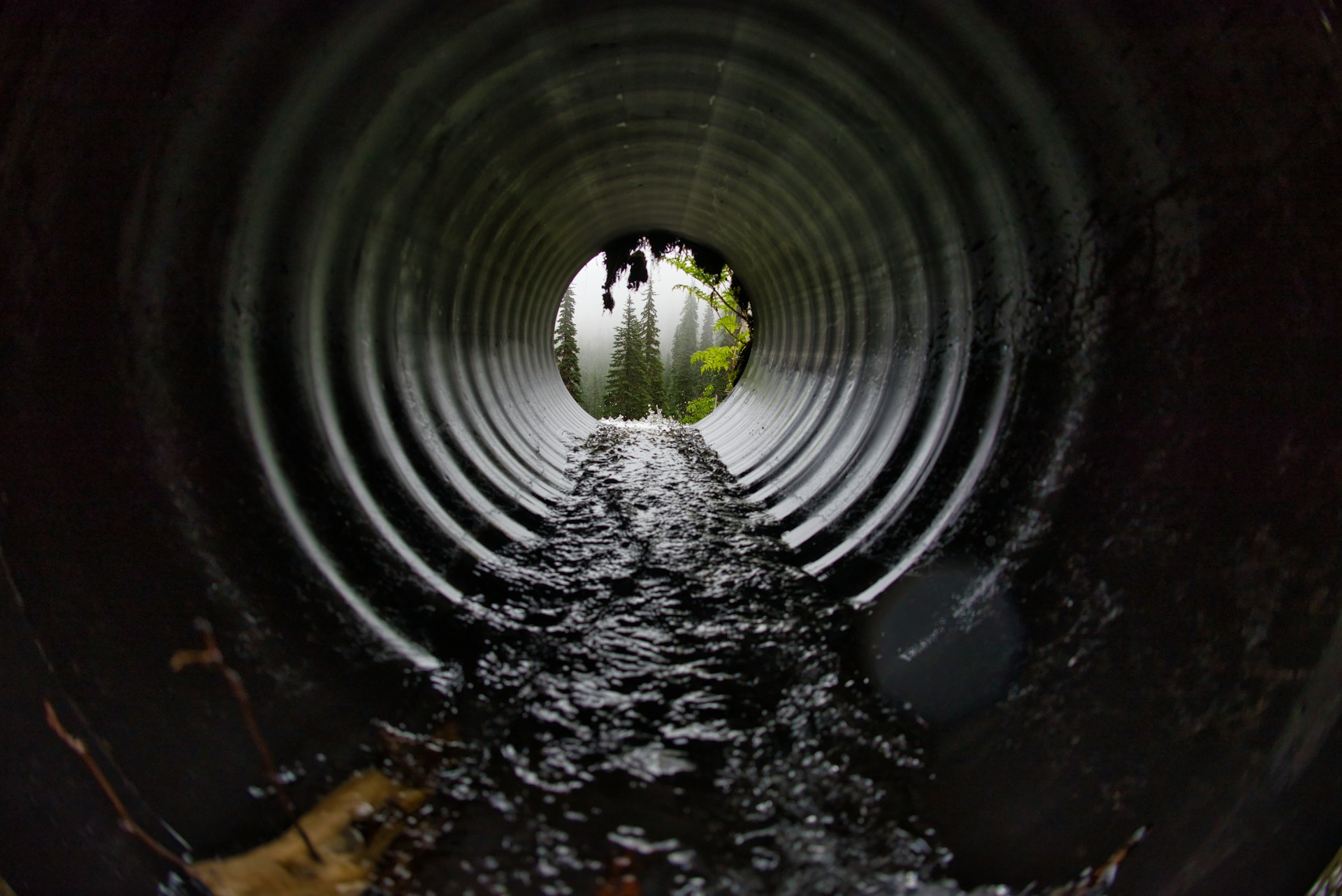 The Impact of Drainage and Grading in Landscape Construction